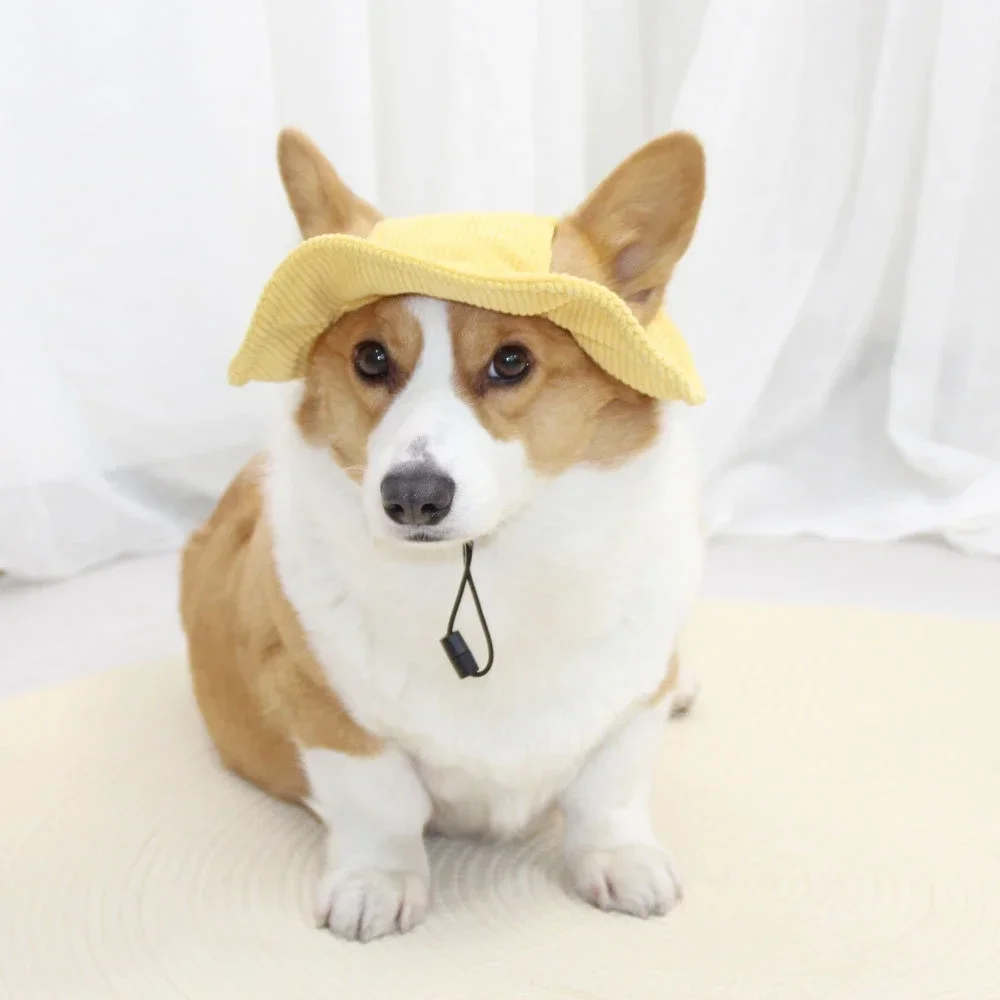 Pet Dog Hat Fashion Fisherman Hat Adjustable Sunhats For Cat Puppy Small Medium Large Dogs Casual Outdoor Pet Accessories