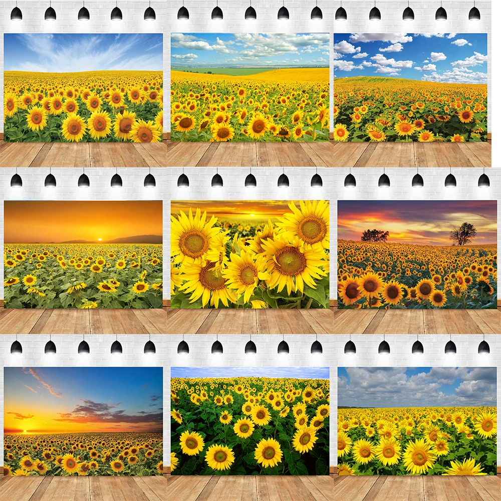 

Sunflower Blue sky Sunset Photography Backdrops Natual Landscape Scenery Newborn Model Portrait Photo Studio Background XRK-01