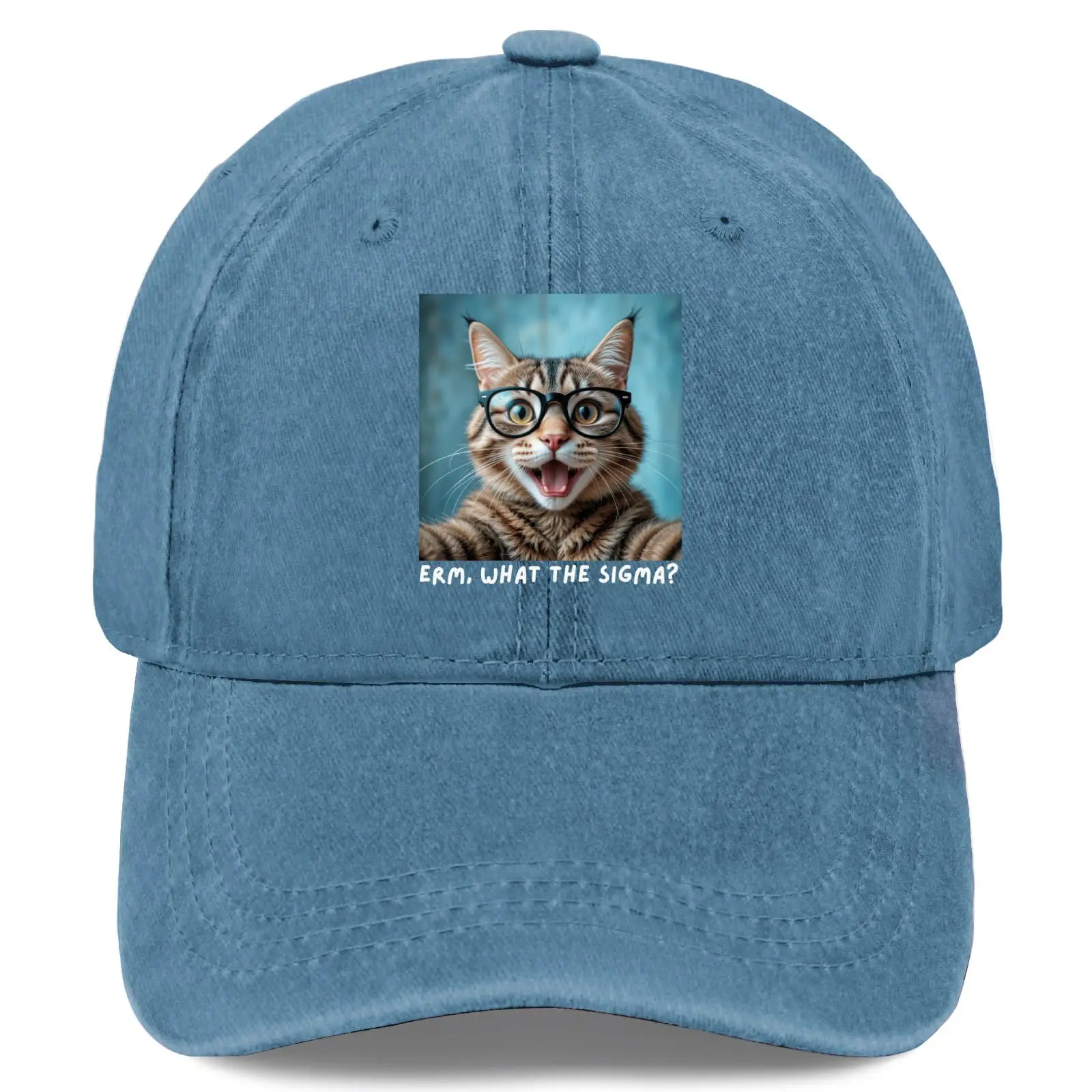 Erm What Sigma Cat Meme Funny Memes Internet Memes Joke Ball caps Funny Vintage Cotton Washed Cyan Blue