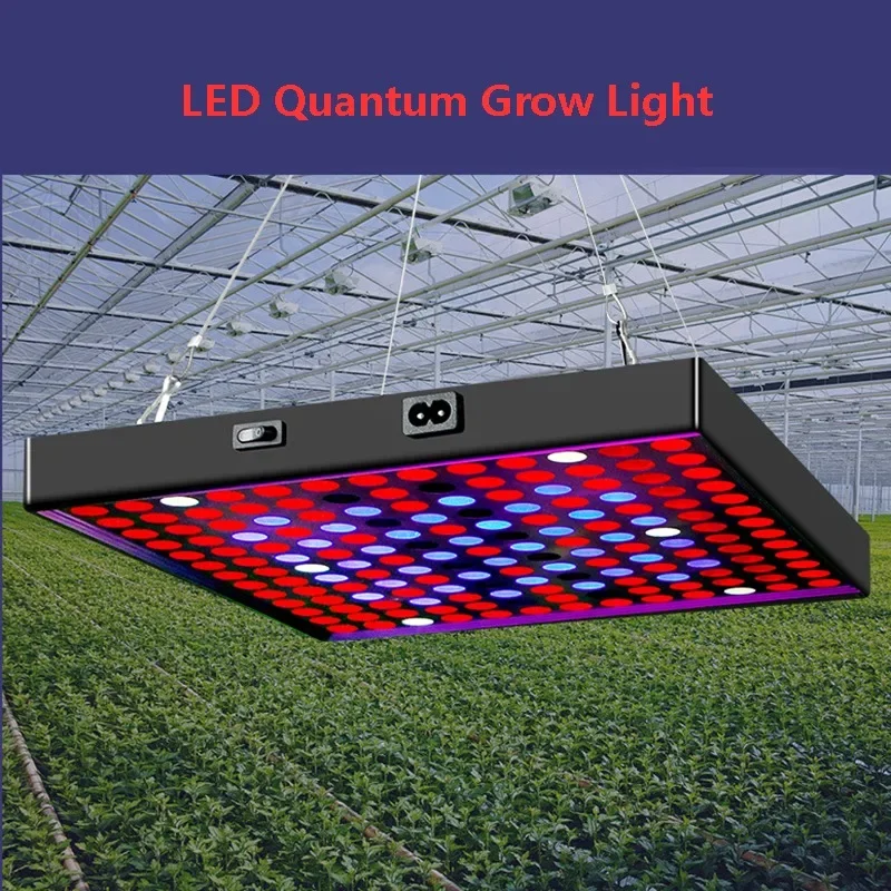 LED Quantum Grow Light para Hidropônico Interior, Espectro Completo, Iluminação para Usinas Elétricas, 85-265V, Venda Quente