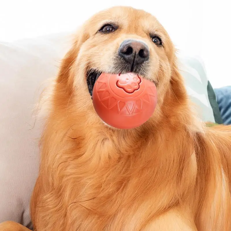 Smart Dog Toys Safe Colorful Interactive Dog Toy Fun Sturdy Herding Ball For Dogs Small Dogs Home Entertainment & Outdoor