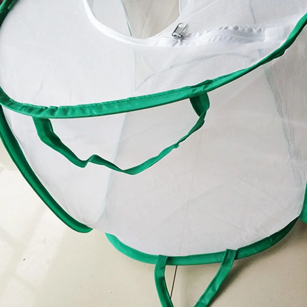 Green Collapsible Insect Cage Transparent Mesh Zipper Opening Reptile Pets Cage Feeding Box Insect Habitat Plant Insect Screen