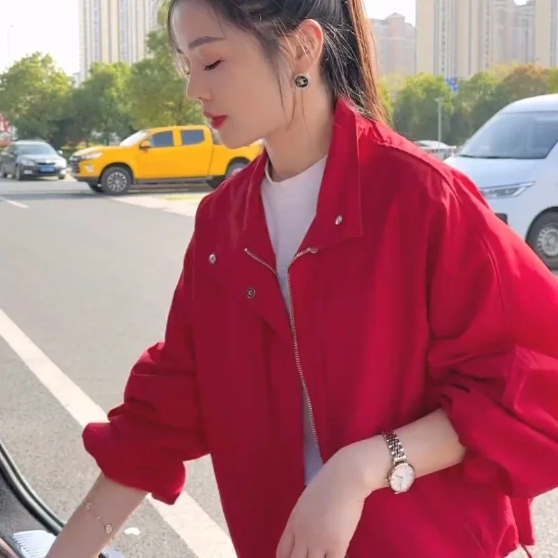 Korte top met opstaande kraag, lente herfst, losse, veelzijdige vrijetijdsjas