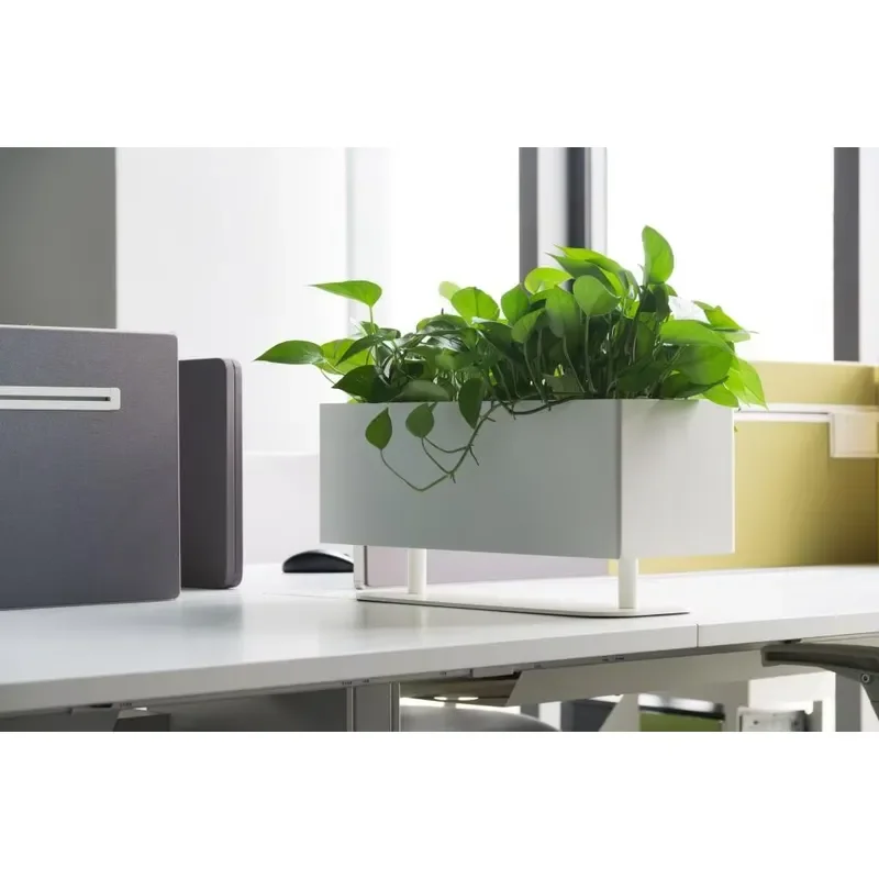 Modern White Rectangular Tabletop Plant Pot with Elevated Base for Office Desk Baffle Divider Green Decor