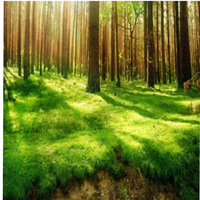 JX Servo PDI-5509MG 9kg High Precision 55.6g Metal Gear Standard Digital Servo For RC Car Airplane Robot Arm 180 Angle Servo