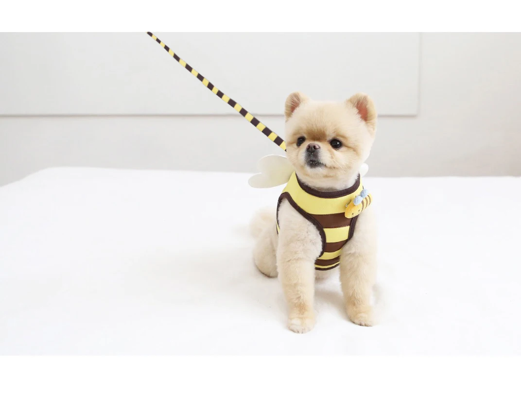 Niedliches Biene-Kätzchen-Set für Welpen und Hunde, Geschirr und Leine, weiches, atmungsaktives Hundeweste-Geschirr, Haustierkleidung für kleine Hunde, Chihuahua – Detail 10