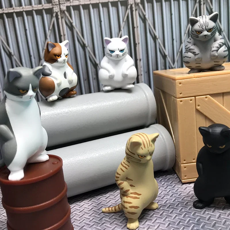 Japan QUALIA Original Genuine Capsule Toys Cute Kawaii Squat Kitty Cat Figurine Anime Figures Gashapon Models