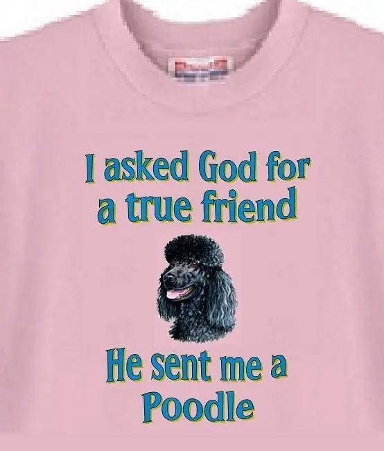 

Dog T- Shirt Men Women- I ask God for a Poodle - Also Cat T Shirt Available