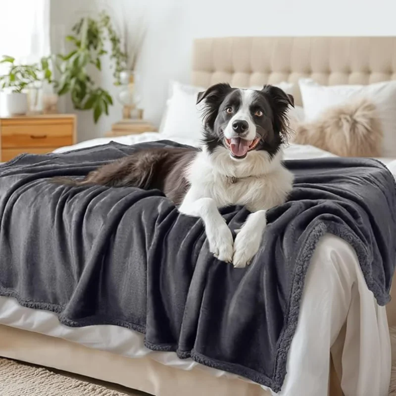 Luxury Shaggy Blankets Winter Warm Cosy Couple Waterproof Blanket-thickened Large Size Blanket Microfibre-blanket Dropshipping