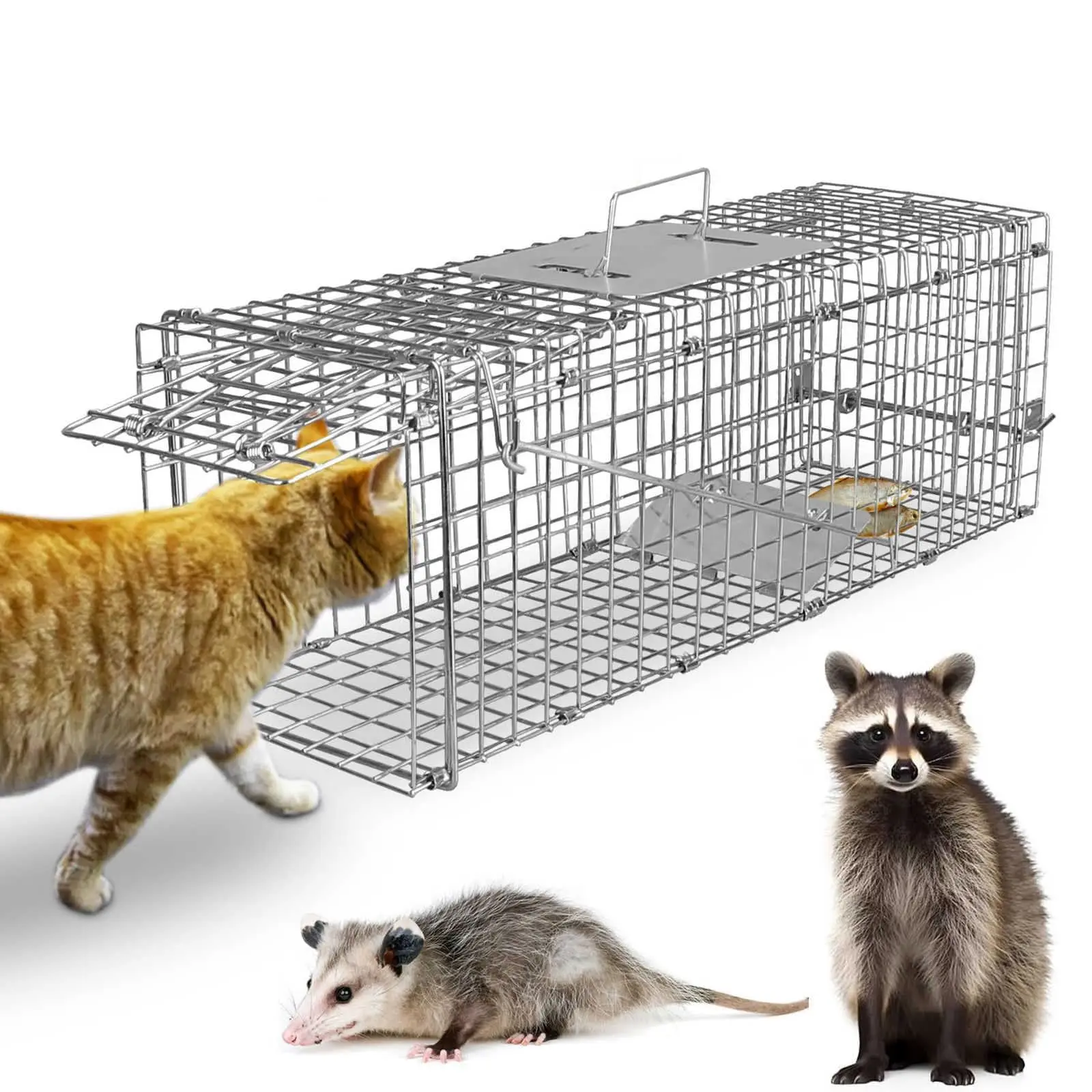 Humane Live Animal Trap 1-Door Solid Steel Catch Release Cage for Raccoons, Rabbits, Stray Cats, Squirrels, Groundhogs, Opossums