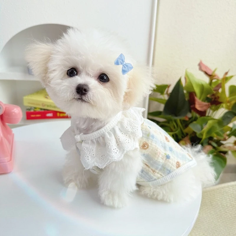 

Cooling Vest for DogSpring and Summer Pet Clothing Lace and Lace Cotton Vest Cat Teddy Chihuahua Cat Dog Clothing Pet Supplies