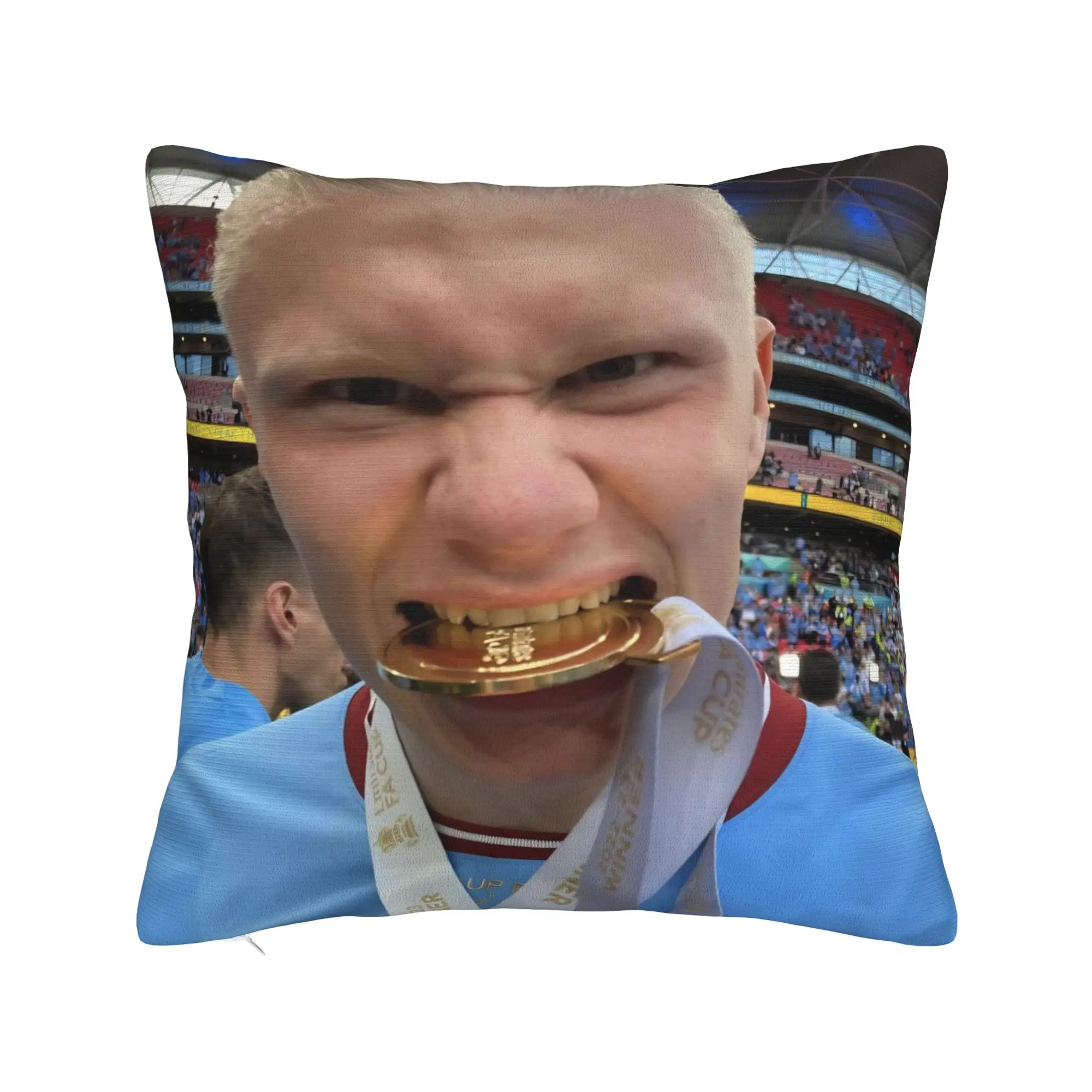 Haalands  Pillow Covers Accessories Printing Cushion Cover Decorations Football Throw Pillow Case Cover Home Multi Size