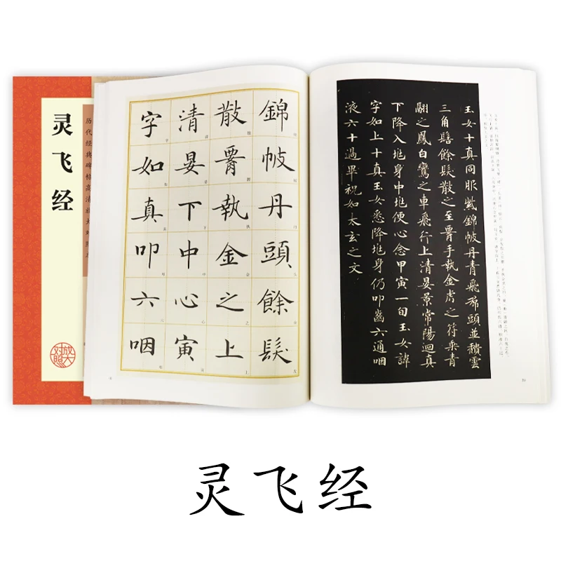 

Brush Calligraphy Writing Copybook for Beginners Chinese Book Stone Inscriptions Dynasties HD Adult Appreciation Ling Fei Jing