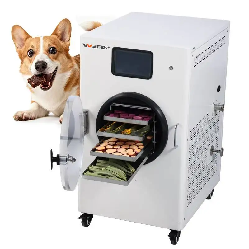 Mini Lyophilizer Hine Vacuum Pet Food Vegetable Fruit Dryer Weight Loss Freeze Dried Candy Powder