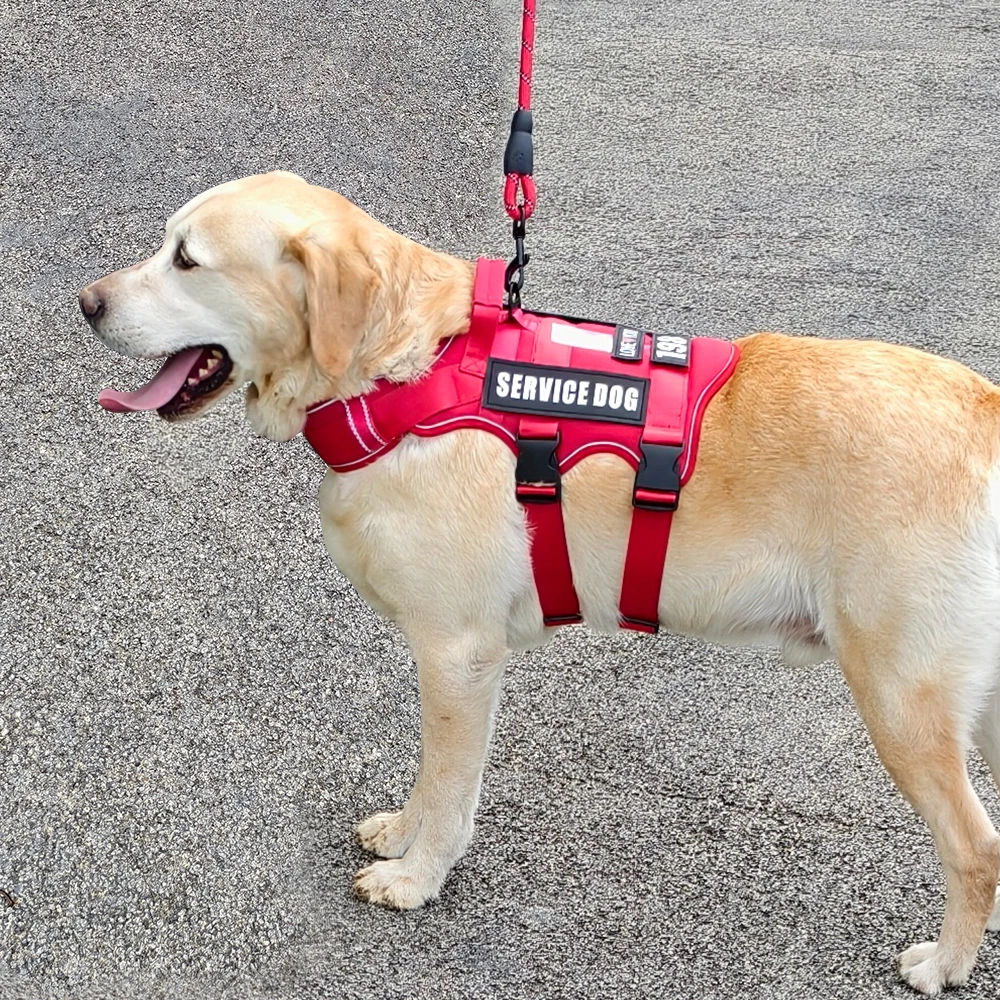 Service-Hundeweste, kein ziehendes Hundegeschirr mit 4 Hundeflicken, reflektierendes Haustiergeschirr mit langlebigem, weich gepolstertem Griff für das Training Med – Detail 8