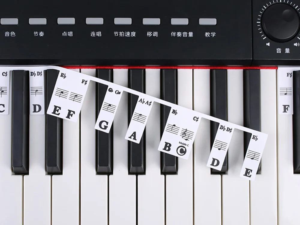 Aufkleber für Klaviertastatur, 88/61 Tasten, abnehmbare Etiketten für Musiknoten für Anfänger, PVC-Klaviertastenetiketten, Leitfaden für Klaviernoten aus Silikon – Detail 12