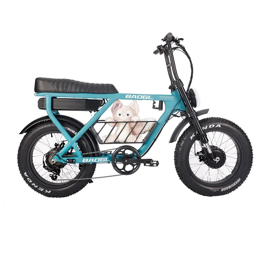 Vintage Mountain Off road Electric Bicycle 1000W Motor 16AH Battery Mountain Electric Bicycle Vintage Electric Bicycle