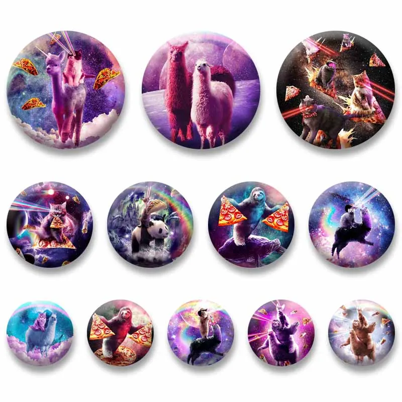 Funny Rainbow Cat in Space Lapel Pins Cute Animal Meme Round Brooch Bag Clothes Shoes Decor Badge Jewelry Gifts for Friend Kids