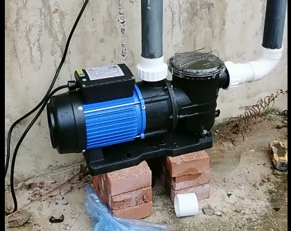 Aquaculture Seafood Pond Water Pump Filter Corrosion-Resistant Seawater Pool Booster Pump Hot Spring Circulation Pump