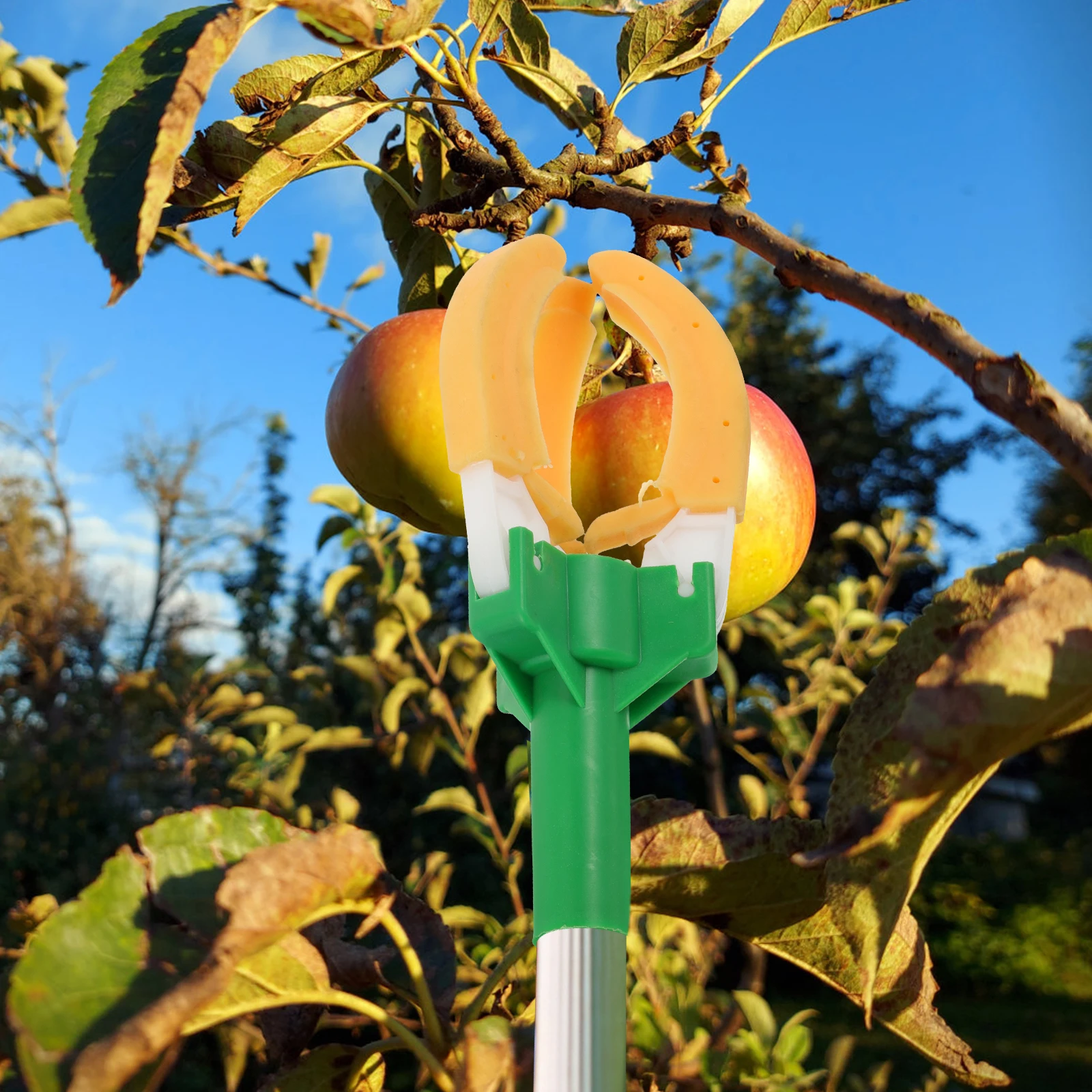 

Fruit Picker Claw Durable Rubber Apple Peach Tools Work saving Garden Picking Device Harvesters Farm Tool chard Small Compact