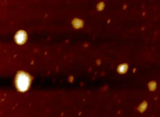 Single layer Ti2C mxene in situ loaded with nano-Ag