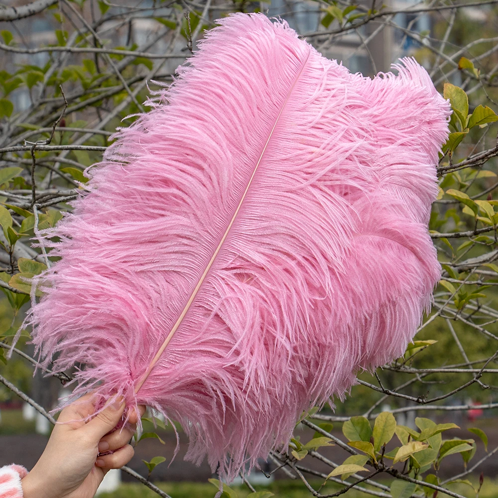 10Pcs Natural Fluffy Ostrich Feathers for Wedding Party Decoration 15-60CM DIY Table Centerpiece Crafts Carnival Plumas Decor