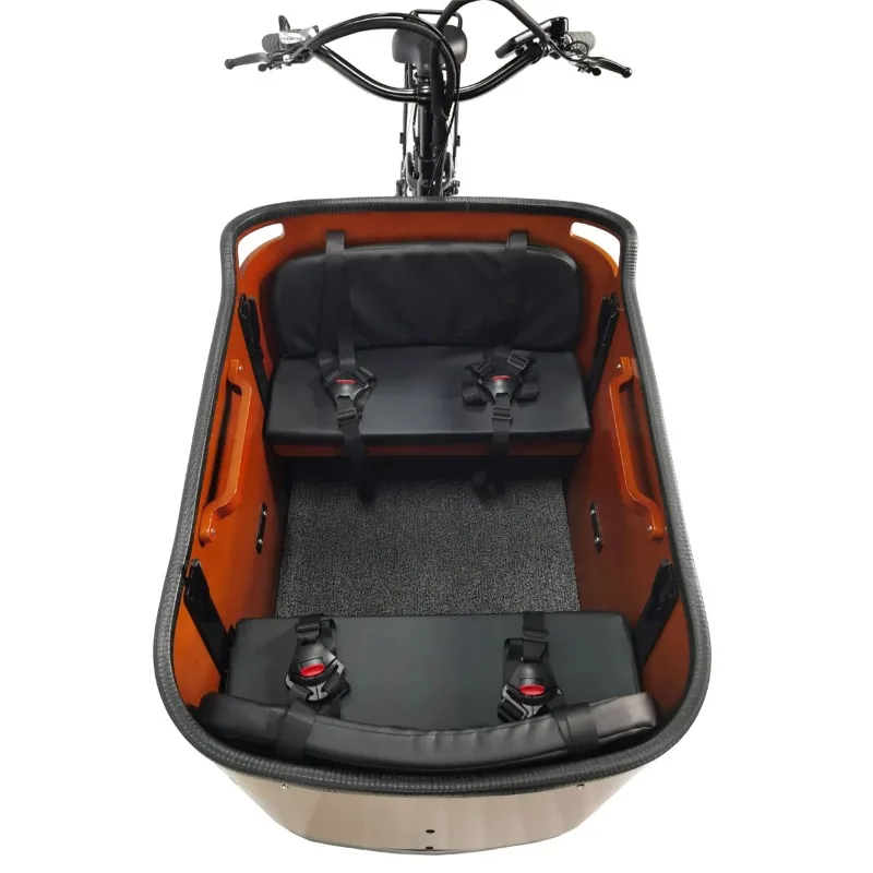 Inverted three-wheeled freight bicycle octagonal central motor electric power