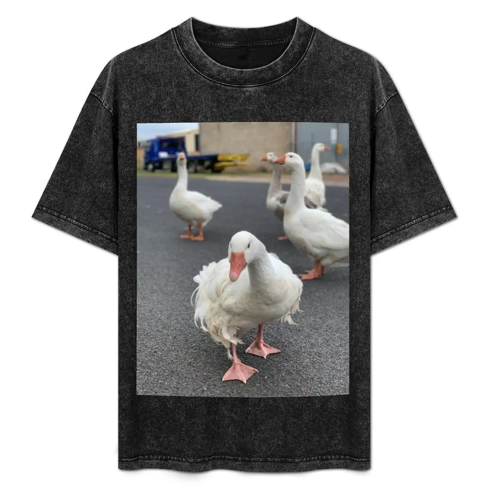 

Goose Chasers T-Shirt tees Blouse customs design your own new gifts and t-shirts plain white t shirts men