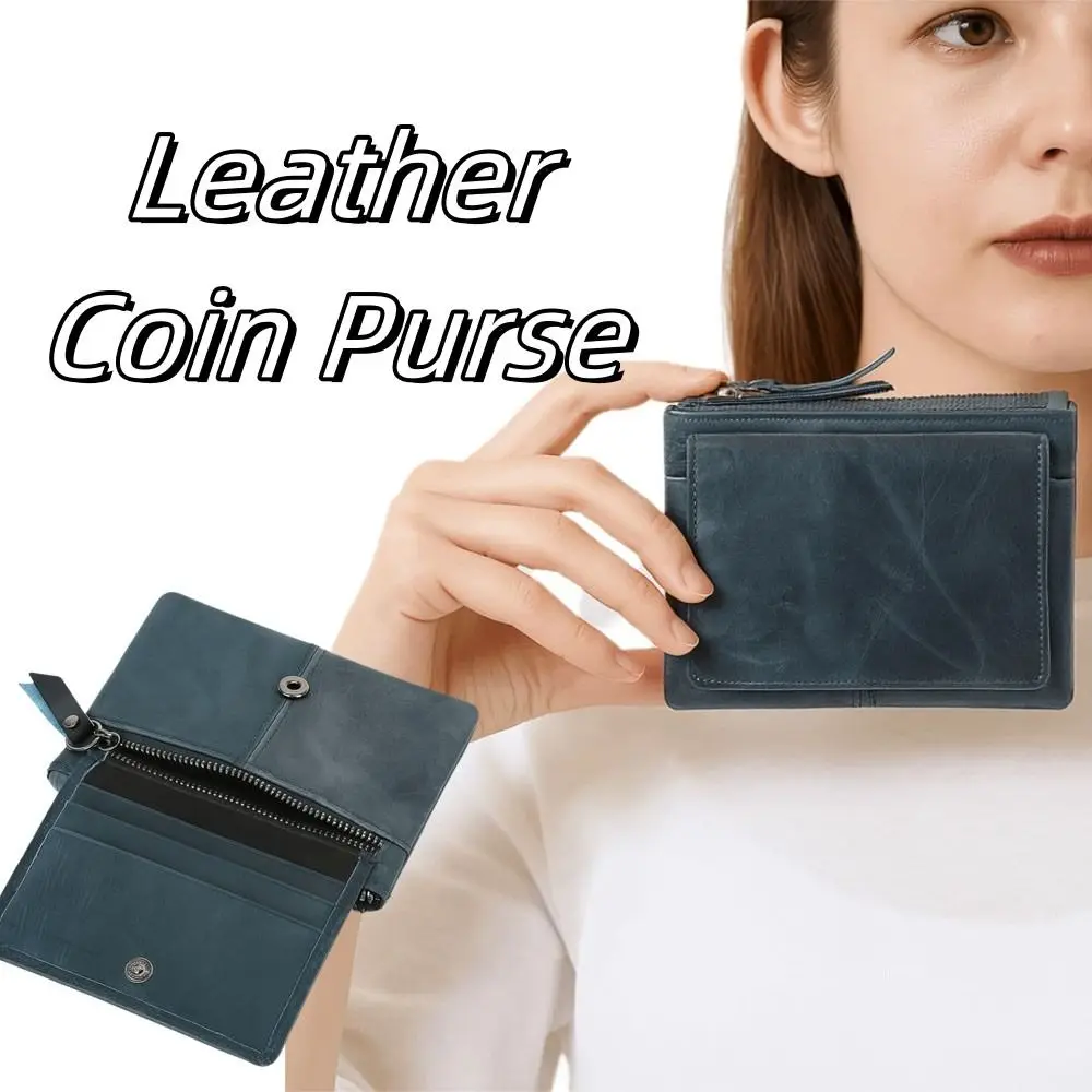 Creative Solid Colo…