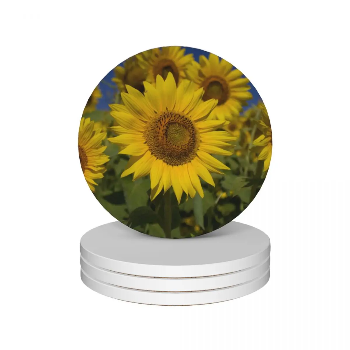 

Sunflowers with a blue sky Ceramic Coasters (Set of 4) animal christmas tea Coasters