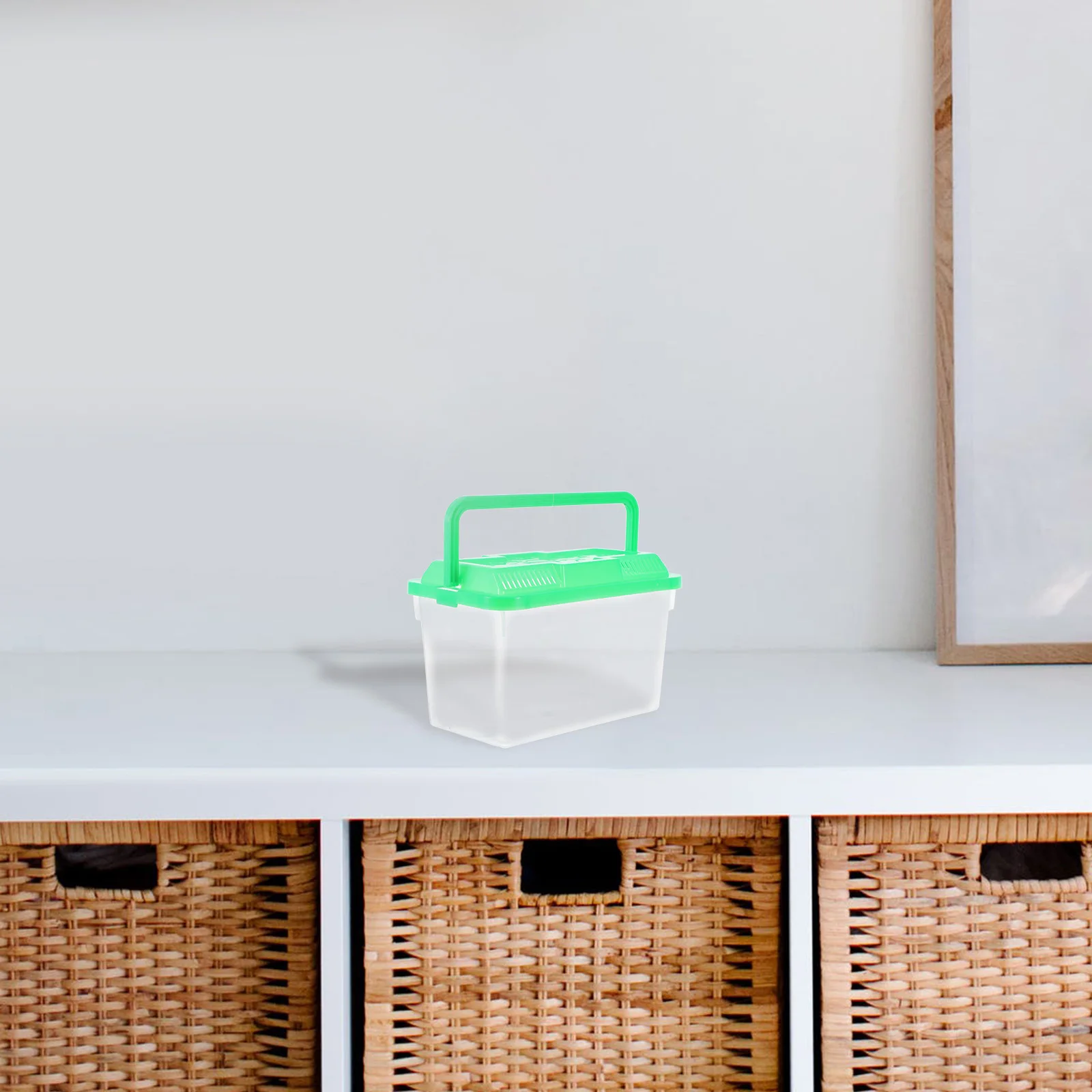 

Portable Fish Tank Small Tanks Turtle Clear Container Bowl with Lid Hamster Carrier