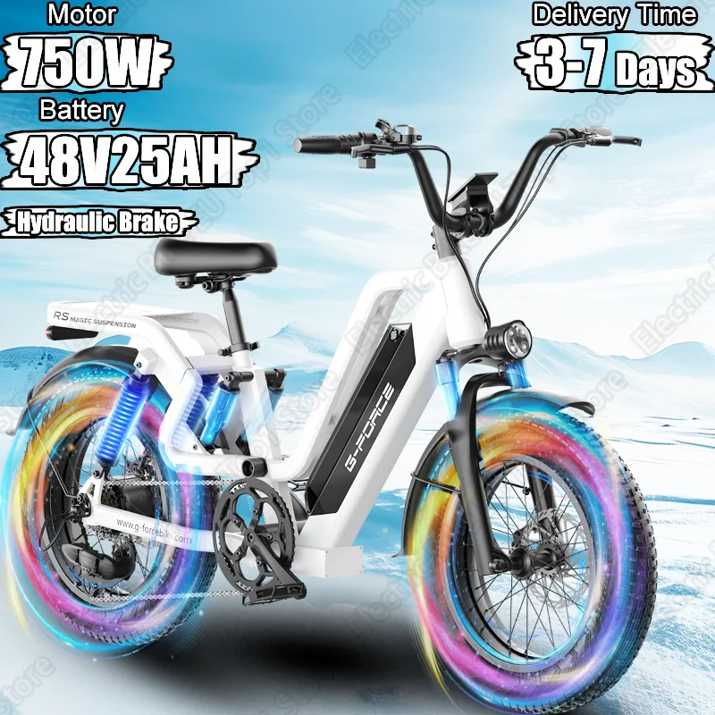 E-bike 750W Powerful Motor 48V25AH Lithium Battery Hydraulic Brake Electric Bike 20*4 Inch All Terrain Fat Tire Electric Bicycle