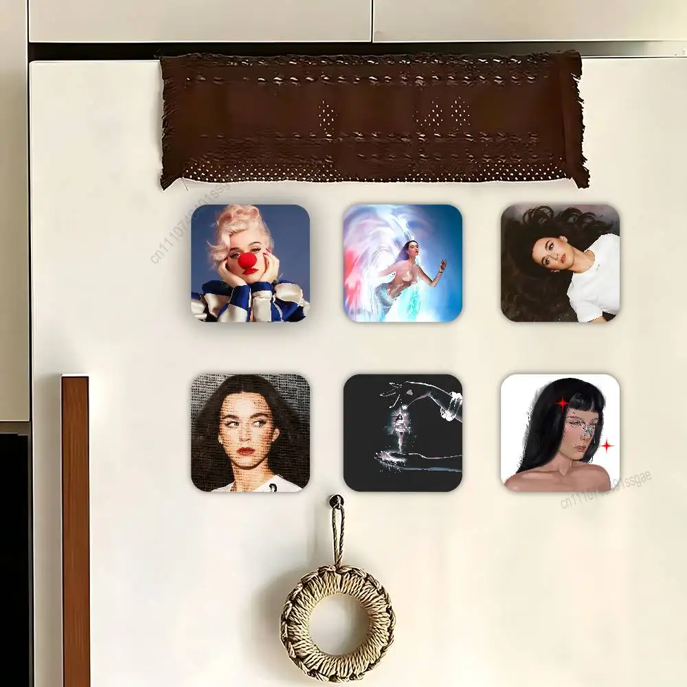 

K-Katy P-Perry TOTGA Decorative Refrigerator Magnets, Cute Funny Fridge Magnets for Kitchen Home Office Whiteboard Locker Decor