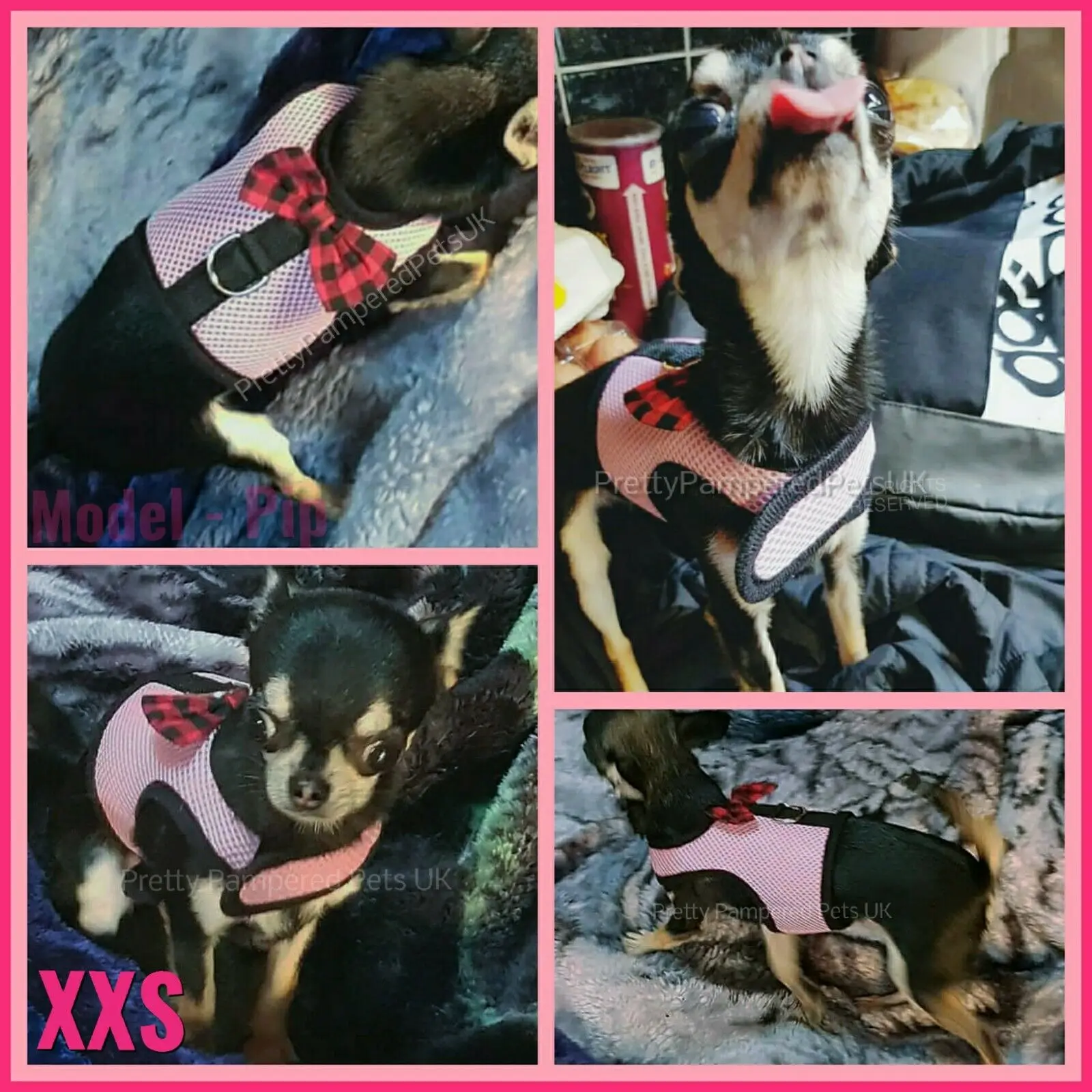 XXS/XS/S Small Teacup Dog Harness Soft Vest W/ Leash Collar for chihuahua yorkie