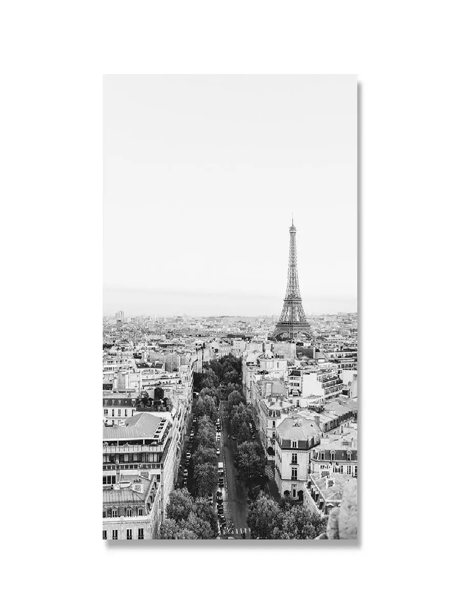 Black and White Canvas Painting  Paris Eiffel Tower Louvre Gargoyle Notre Dame  Nordic Style Wall Art Poster Prints for Home Dec