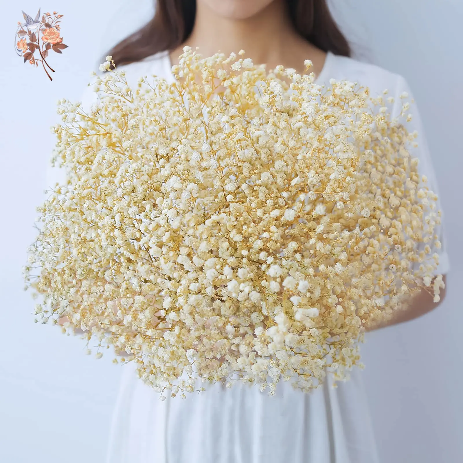 Konservierte Gypsophila Künstliche Trockenblumen Langlebige Blumendekoration für Hochzeitssträuße Echt Aussehende Schleierkrautsträuße Paargeschenke