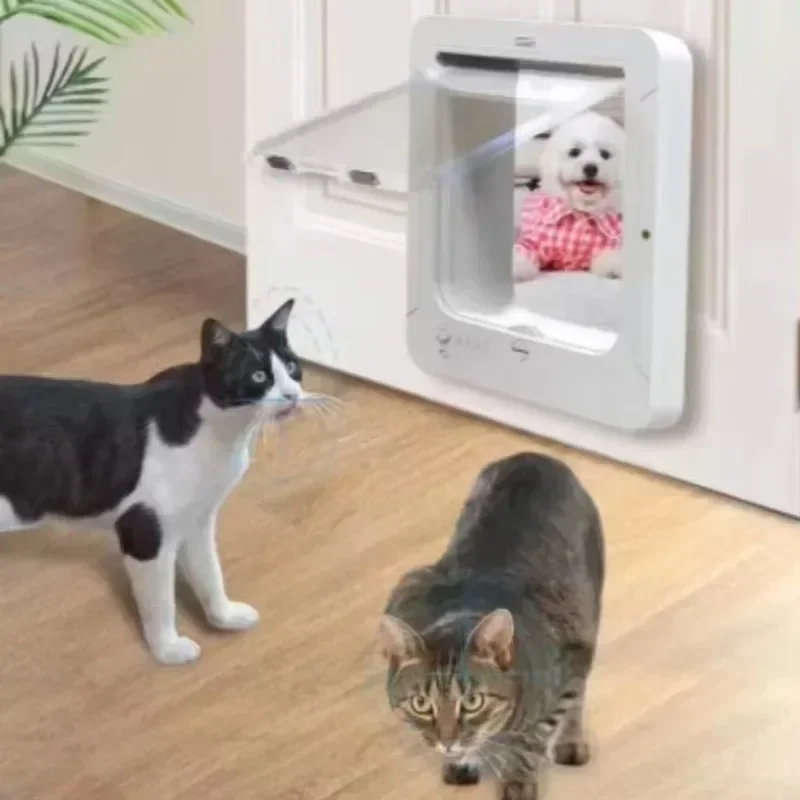 Automatic dog and cat door with electronic key to enter and exit the smart pet door freely