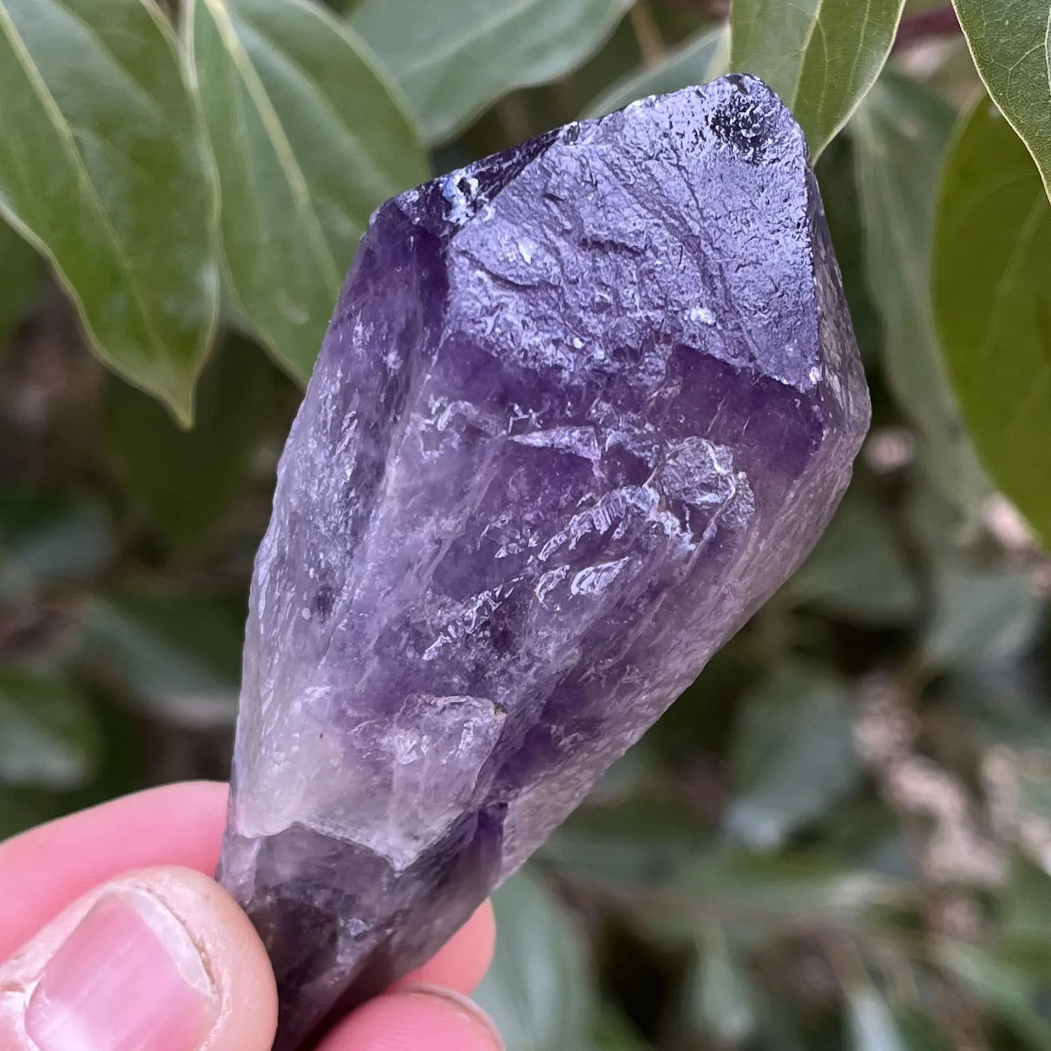 

Natural amethyst quartz cluster crystal specimen scepter super spiritual healing gemstone energy stone--zq110