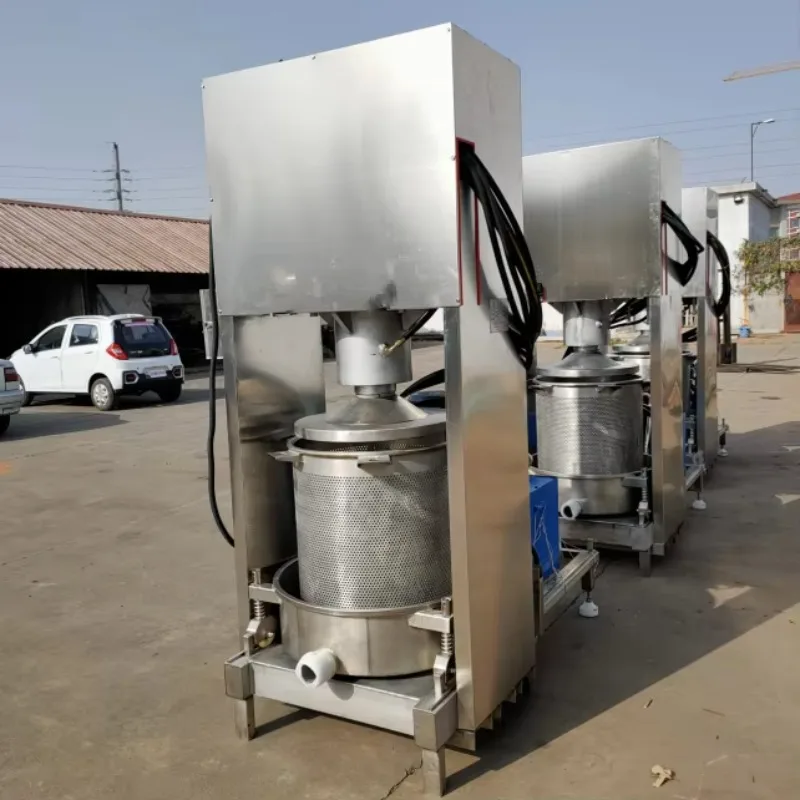 High Efficiency Hydraulic Juice Press Machine Commercial Fruit Squeezer Equipment For Small And Medium Wine Factory Custom