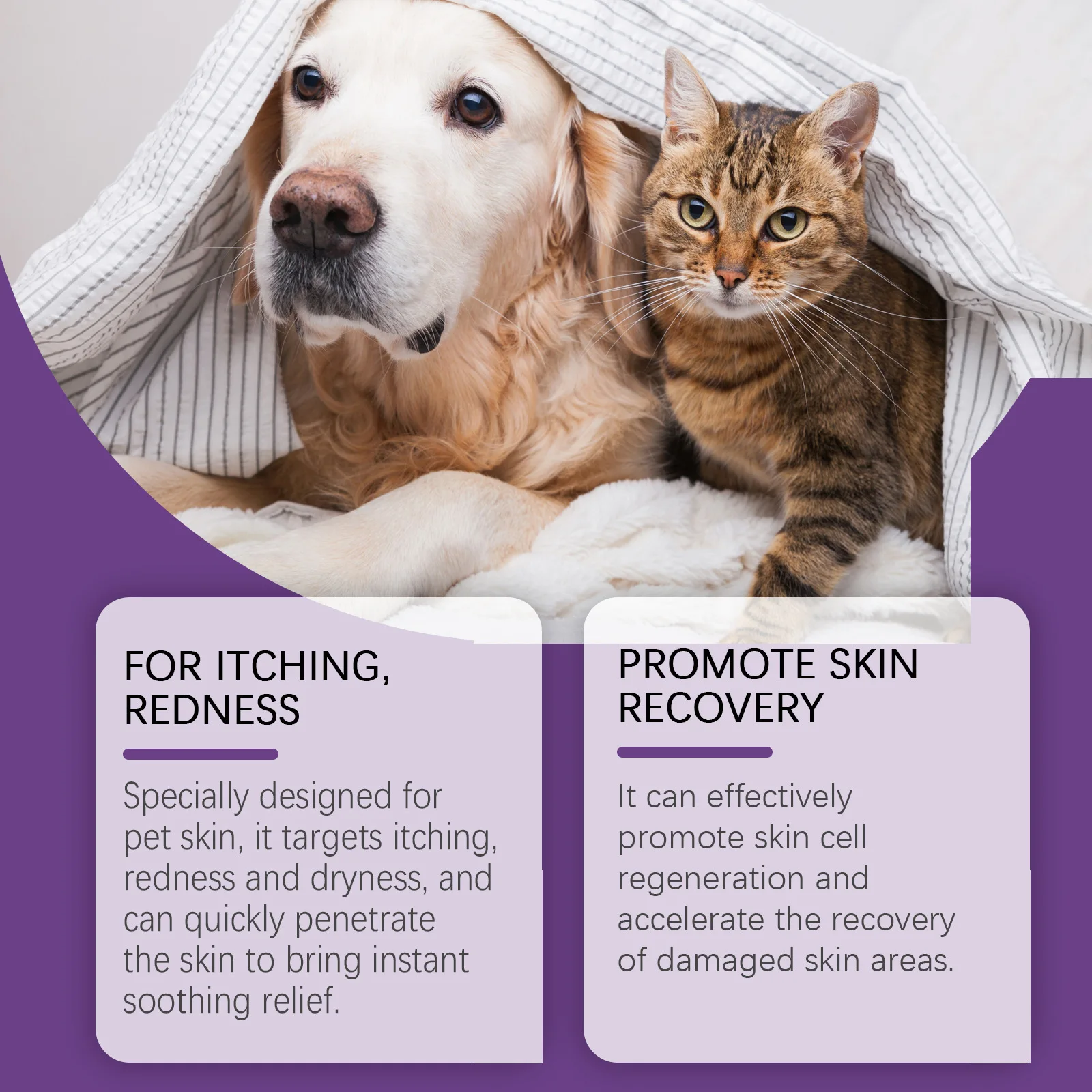EELJOY Haustier-Hautpflegecreme für Hunde und Katzen, trockene, juckende Haut, lindert beruhigenden Balsam, Anti-Juckreiz-Lotion, Allergie-Behandlung, Pfotenreparatur – Detail 9