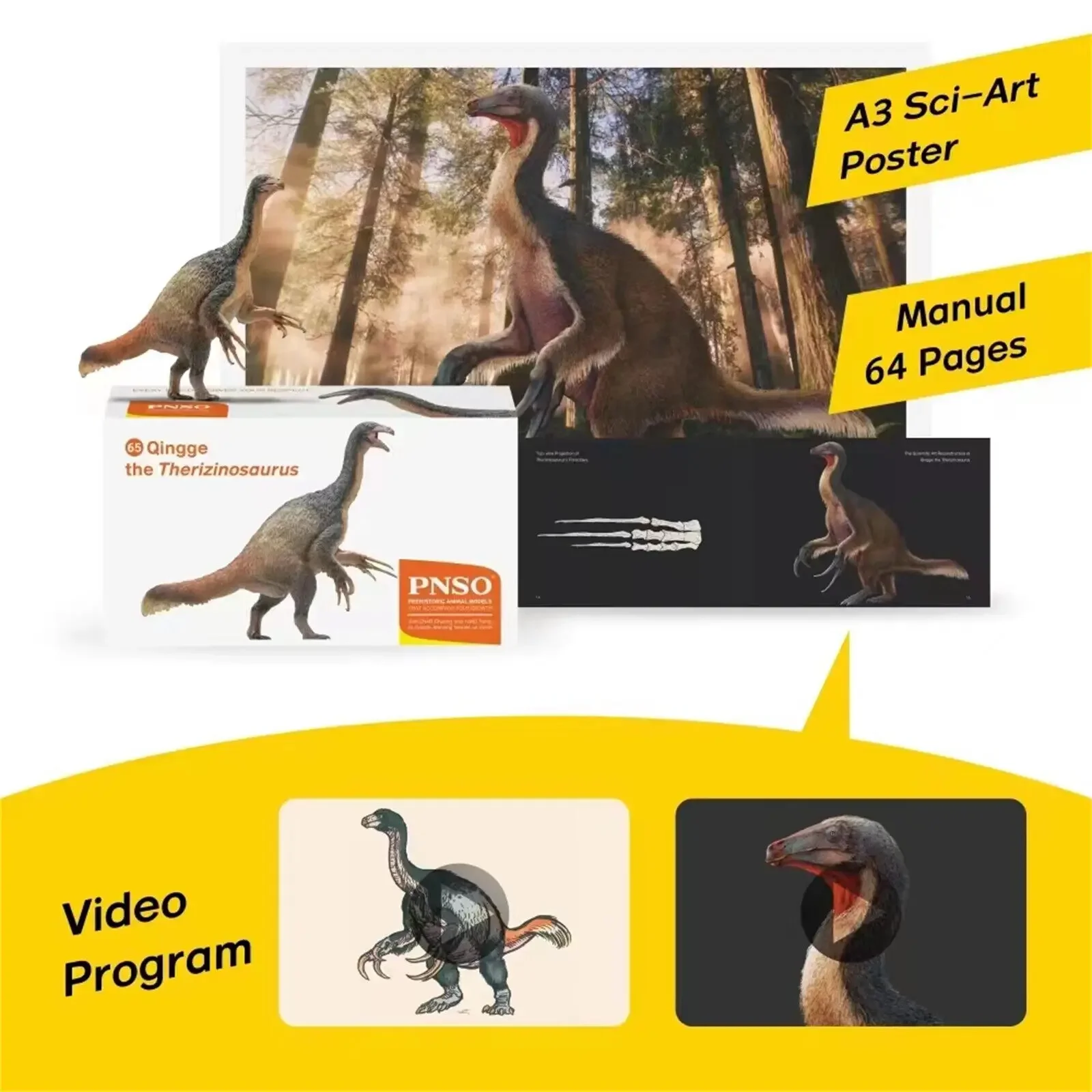 PNSO 65 Therizinosaurus Qingge Modell Tier Dinosaurier Abbildung Therizinosauridae Sammler Decor Realistische Pädagogisches Spielzeug Geschenk