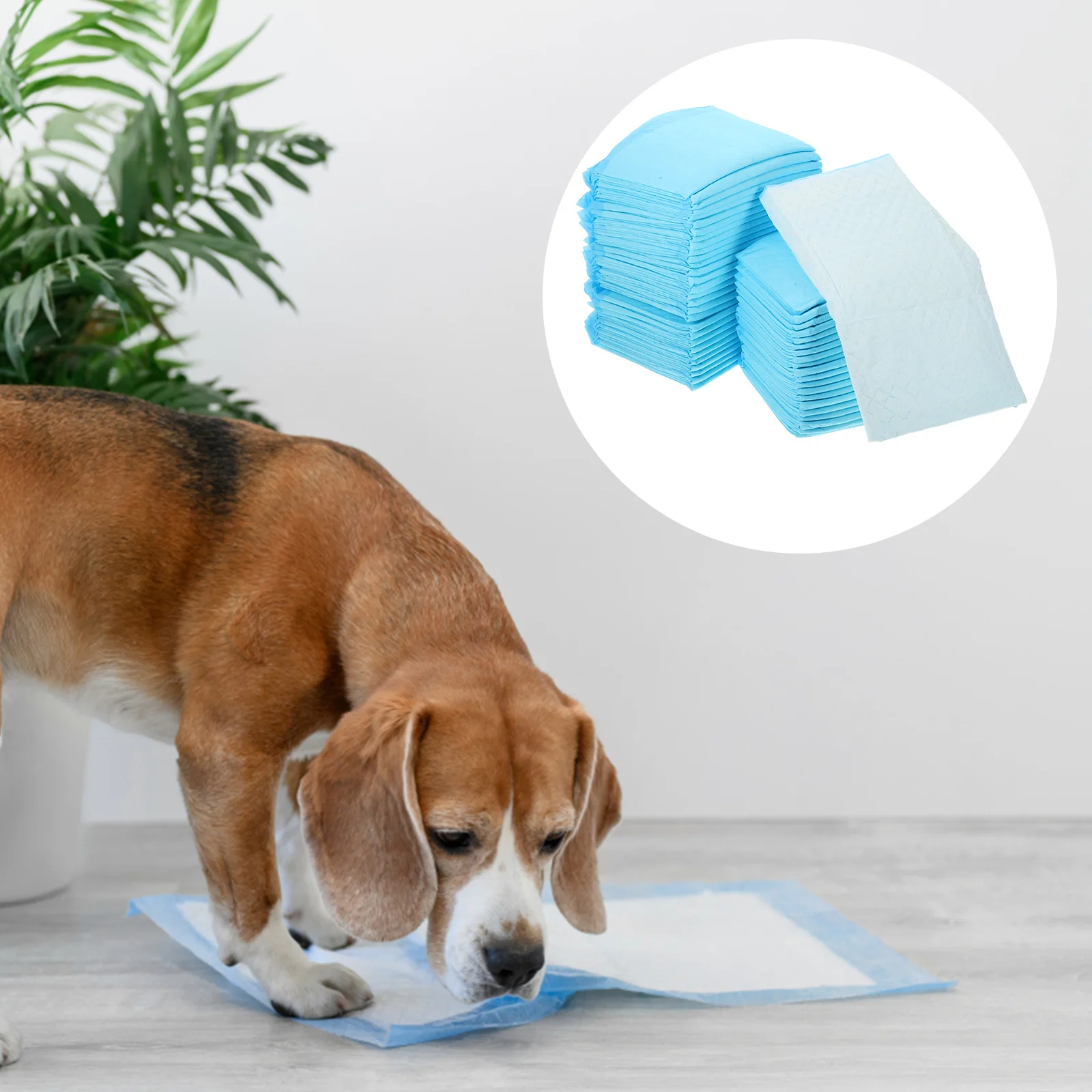 100 Pcs Dog Pads Super Absorbent and Waterproof Puppy Pet Training Mats Pieces Pee For Cat Major Small Supplies Child