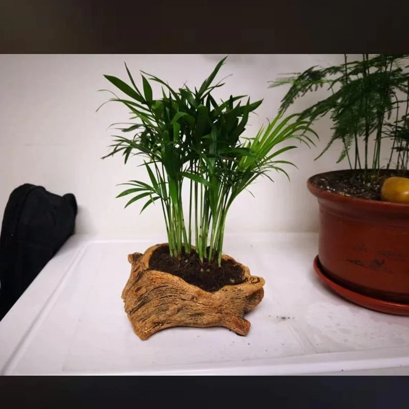 Creative Retro Cement Imitation Tree Stump Root Carving Wood Succulent Flower Pot
