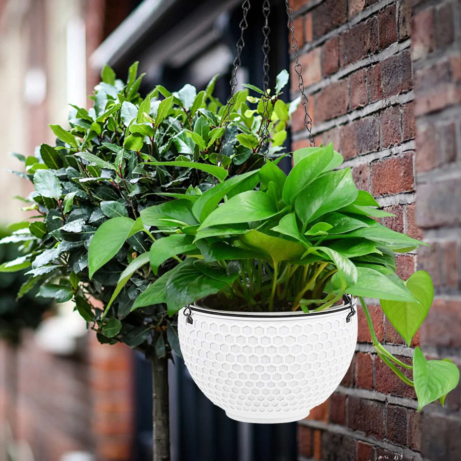 1Pcs Plastic Hanging Flowerpot Honeycomb Pattern Hanging Planter for Green Plants Living Room Bedroom Balcony Terrace Indoor
