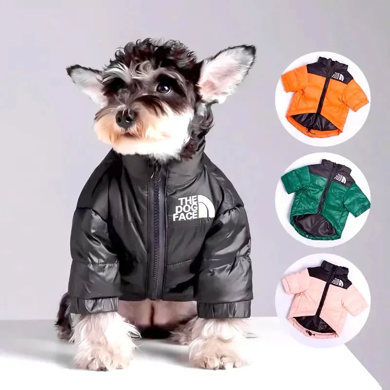 Thumbnail 3 - #1 Trending Waterproof Puppy Jackets Right Now