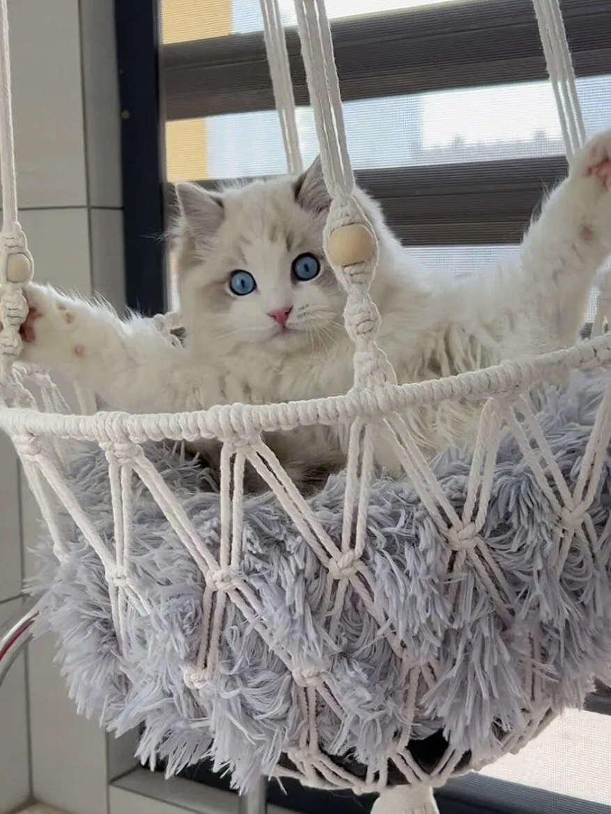 Handmade Cat Hammock Nest Hanging Swing Woven Cat Nest Pet Basket Nest Hanging Fruit Mesh Wall Hanging view 2