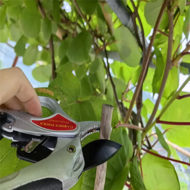 Imagem -03 - Bigorna Estilo Ratchet Poda Tesoura Fruit Tree Branch Poda Tesoura Aparador Ferramenta de Jardim para Mãos Fracas
