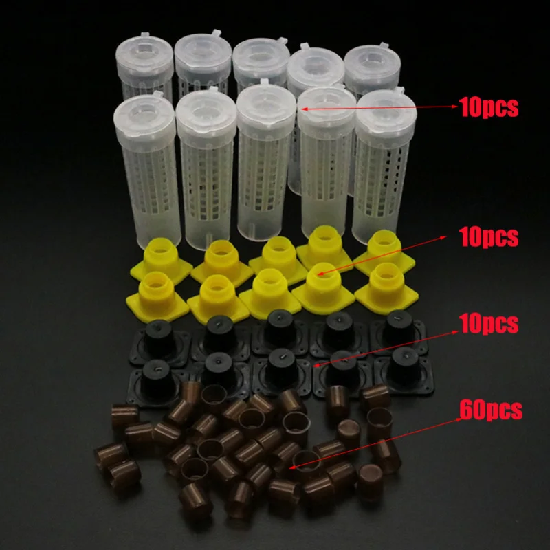 90/180Pcs Plastic Queen Rearing Kit Brown Queen Cell Protector Breeding Cups Queen Cage No Larva Transfer Beekeeping Supplies