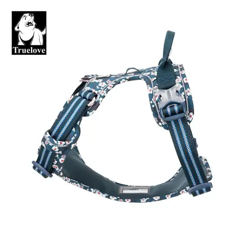 12 best sales बॉक्सर कुत्ता - №8