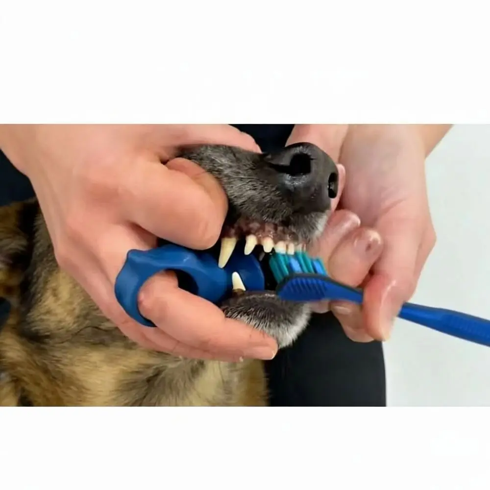Silicone Pet Brush Teeth Assist Finger Coat Easy To Brush Teeth Anti-bite Hand Dog Brush Teeth Auxiliary Tools Bite-resistant